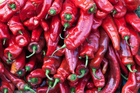 Chili Pepper Wikipedia