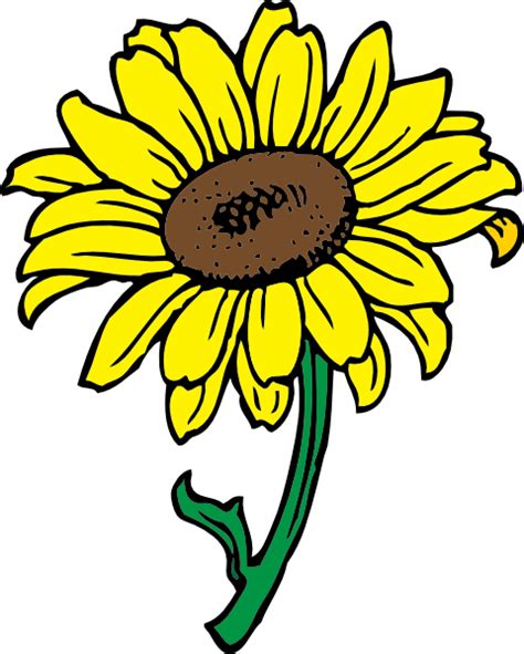 Sunflower Clip Art Free Vector 4vector