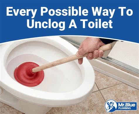 How To Unclog A Toilet Clogged Toilet Ph