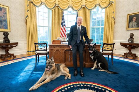 How One Photographer Shapes The Way The World Sees Joe Biden