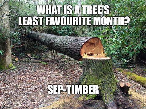 Tree Cutting Meme Captions More