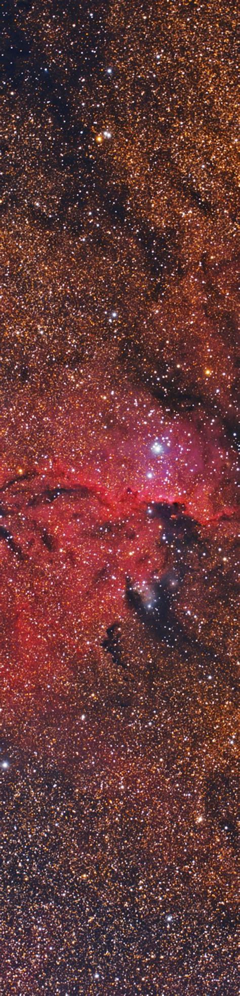 Crimson Flares Ngc 6188 Is An Emission Nebula About 4000 Ly Away In