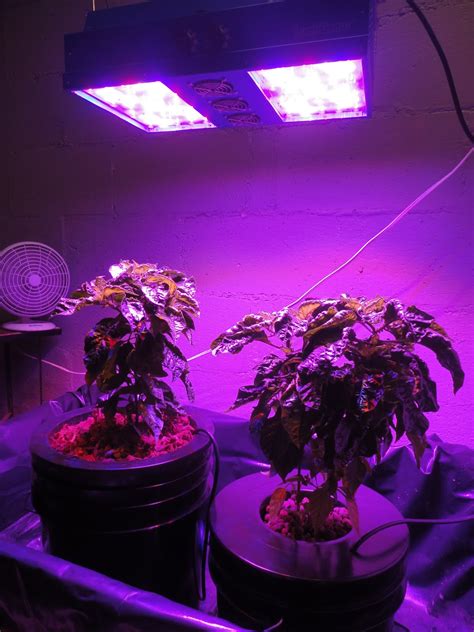 Alpha Hydroponics & Garden Supply, Inc.: Alpha Hydro Deep ...