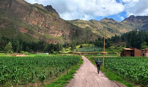The Best Things To Do In Peru Activities Food Coffee And Hostels