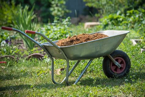 These Are The Best Wheelbarrows You Need In Your Garden