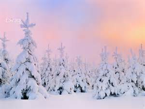 49 Bing Winter Scenes Wallpaper