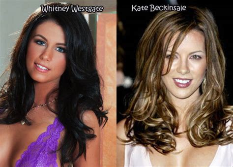 Refreshing News Female Celebrities And Their Pornstar Lookalikes Pics