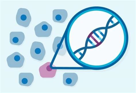 New Method Improves Accuracy Of Dna Sequencing 1000 Fold To Detect