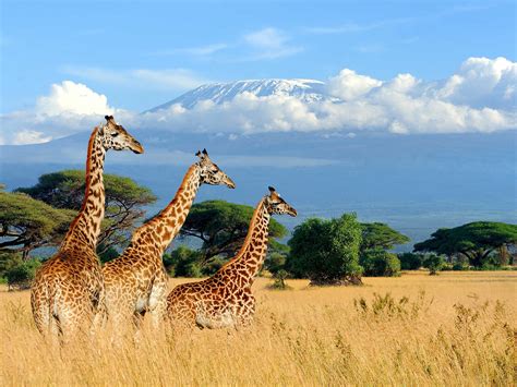 20 Most Beautiful Places In Kenya