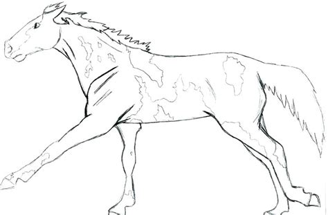 You can now print this beautiful breyer horse s561a coloring page or color online for free. Paint Horse Coloring Pages at GetColorings.com | Free ...