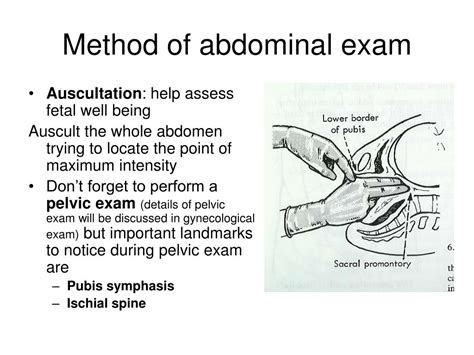 Ppt Obstetric Physical Examination Powerpoint Presentation Id464376