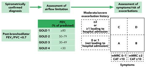 Doctors use stages to describe how severe your copd is. GOLD 2019 report: a step towards personalised medicine ...