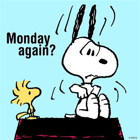 Unfortunately Snoopy It Is Monday Again 😩 Snoopy Pictures Snoopy
