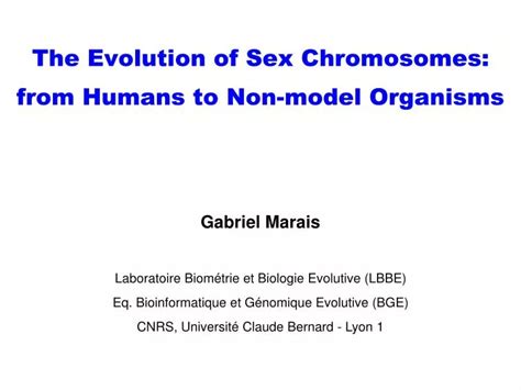 Ppt The Evolution Of Sex Chromosomes From Humans To Non Model Organisms Powerpoint