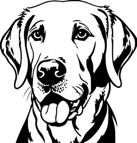 Premium Vector Labrador Dog Face Isolated On A White Background Svg