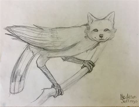Hybrid Animal Drawing By Madison Animal Drawings Student Art Drawings