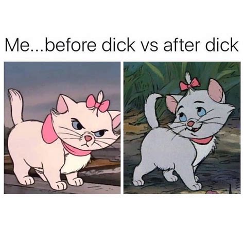 Me Before Dick Vs After Dick Funny