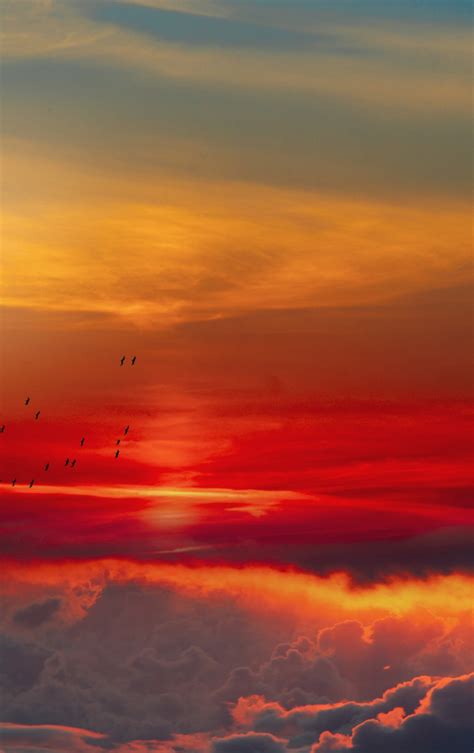 Download 840x1336 Wallpaper Clouds Sky Orange Nature Iphone 5