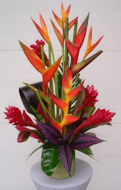 9 Meilleures Idées Sur Arrangements De Fleurs Tropicales Arrangements
