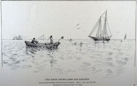 The Bank Trawl Line Cod Fishery Penobscot Bay History Online