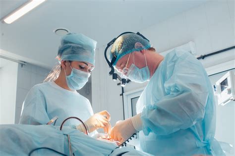 What Does A Plastic Surgeon Do Including Their Typical Day At Work