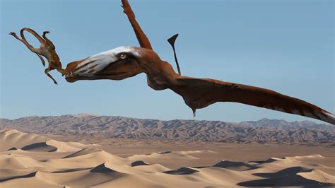 Giant Pterosaur Sported 110 Teeth And 4 Wicked Fangs Live Science