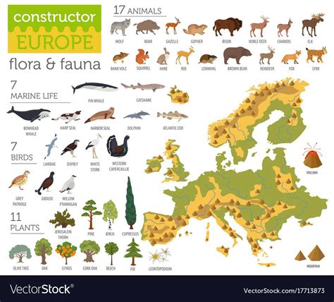 Flat European Flora And Fauna Map Constructor Elements Animals Birds