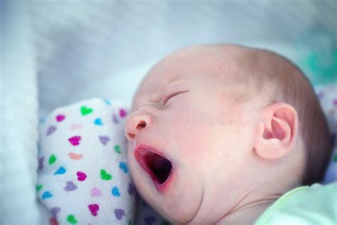 Portrait Of A Yawning Baby Stock Photo Image Of Adorable 154810402