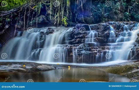 Rainforests Waterfalls Stock Image Image Of Tourism 50690839