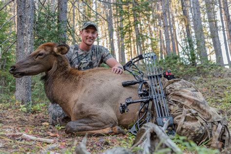 2016 Colorado Diy Archery Elk Hunt Success Selfilmed