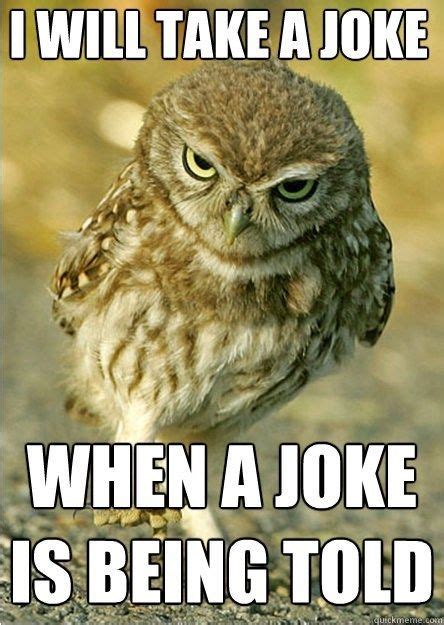 51 Superb Owls To Get You Through Superbowl Sunday Funny Owls