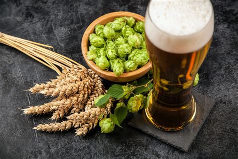Growing Environment Impacts The Aroma Of Beer And Hops •