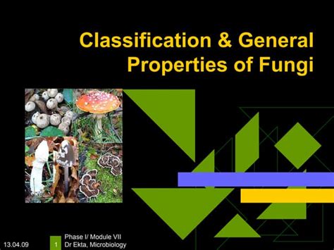 Classification And General Properties Of Fungippt