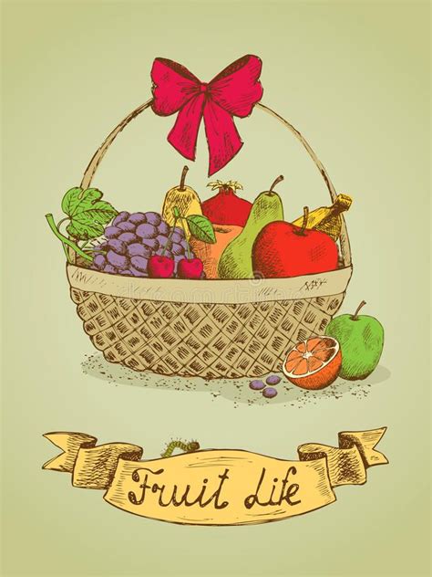Fruit Life Gift Basket With Bow Emblem Vector Illustration Thank You
