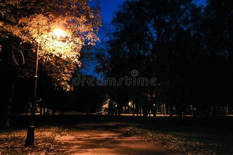 City Park At Twilight With Street Lights Pathway Alley And Trees At