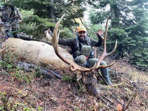 2022 Oregon Deer And Elk Hunting Prospects