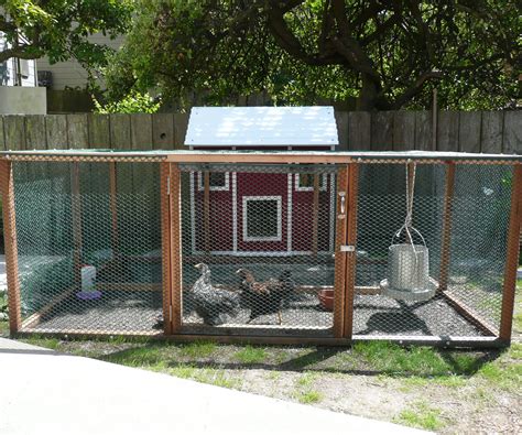 Urban Farming Raising Backyard Chickens 3 Steps With Pictures
