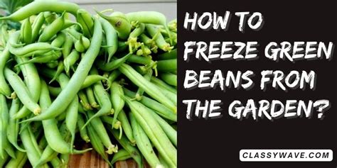 How To Freeze Green Beans From The Garden Complete Guide