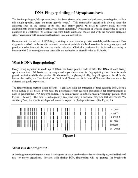Through this book i will be helped in. 14 Best Images of Worksheets On DNA Molecule - DNA and RNA ...