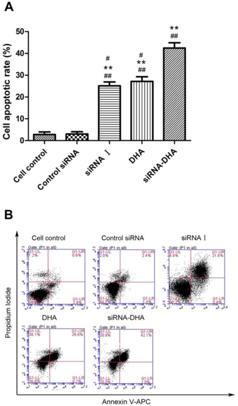 Effect Of Dihydroarteminin Combined With SiRNA Targeting Notch1 On