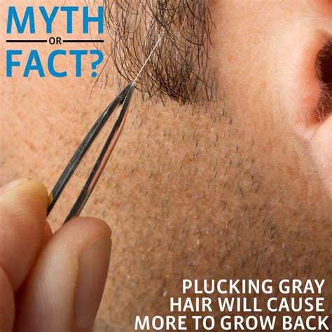 Many People Think That Plucking Gray Hair Will Cause More To Grow Back