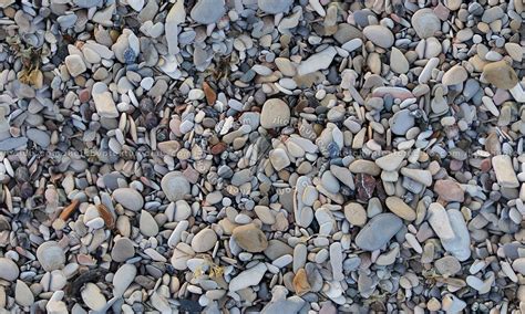 River Pebbles Stone Texture Seamless 12451
