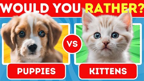 Would You Ratherpuppies Vs Kittens Edition 🐾🐕🤔🐈 Youtube