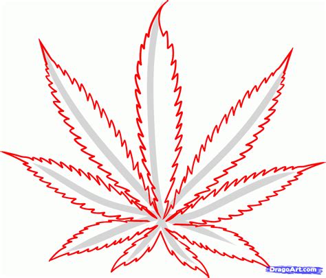 Marijuana tattoos | how to draw cannabis, cannabis leaf, step by. Cannabis Leaf Tattoo Sample » Tattoo Ideas