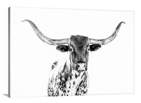 Longhorn Art Cow Canvas Or Photo Print In Black And White Etsy In