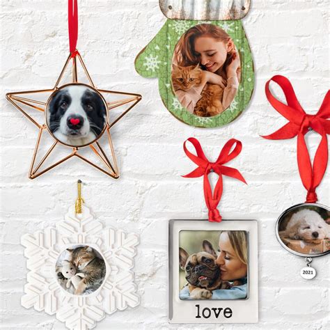 Create A Christmas Tree Ornament With Pet Photos Snapfish Us