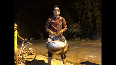 Câu Cá Tra Tại Tràm Chim Dính Cá Khủng 48kg Fishing Catfish In Tram