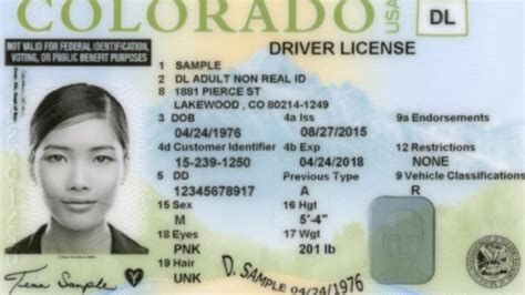 What Is The Dd On The Colorado Drivers License Mishkanetcom