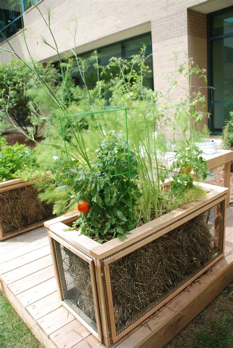 Garden Anywhere This Season With The Help Of Straw Bale