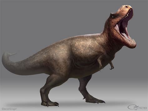 Tyrannosaurus Rex Dinopedia Fandom